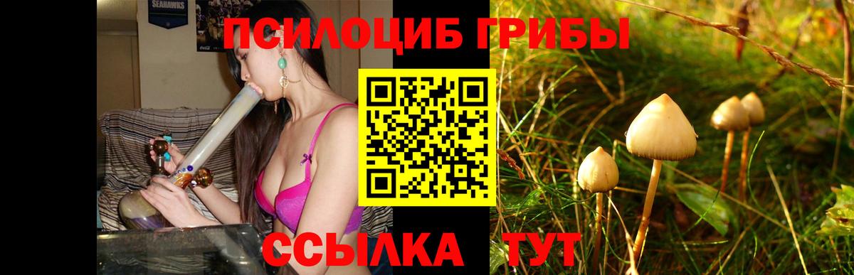 Галлюциногенные грибы Cubensis Великие Луки